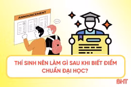[Motion Graphics] Thí sinh nên làm gì sau khi biết điểm chuẩn đại học? 