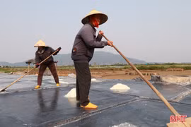 Nắng gay gắt, diêm dân tích cực bám đồng sản xuất