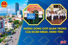 [Motion Graphics] Những đóng góp quan trọng của Đoàn ĐBQH, HĐND tỉnh