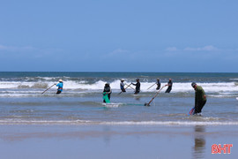 Ốc tép dạt vào bờ, ngư dân Hà Tĩnh kiếm tiền triệu mỗi ngày