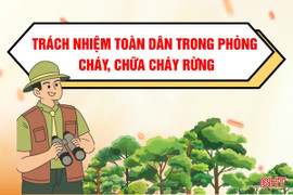 [Motion Graphics] Trách nhiệm toàn dân trong phòng cháy, chữa cháy rừng