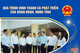 [Motion Graphics] Quá trình hình thành và phát triển của Đoàn ĐBQH, HĐND tỉnh 