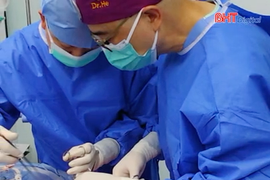Lần đầu tiên cấy ghép phổi lợn cho người