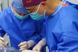 Lần đầu tiên cấy ghép phổi lợn cho người