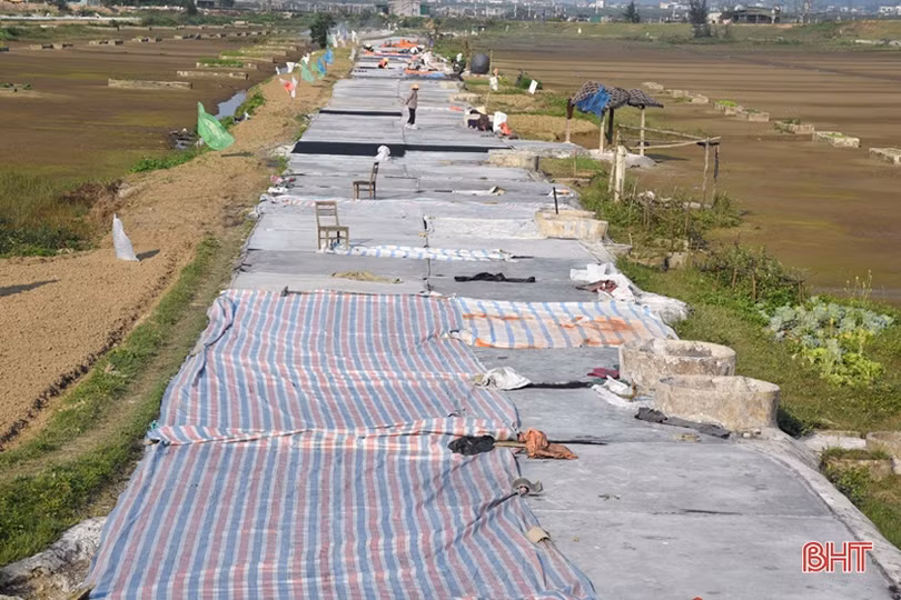 Làng nghề muối truyền thống Hà Tĩnh chuẩn bị cho vụ sản xuất mới