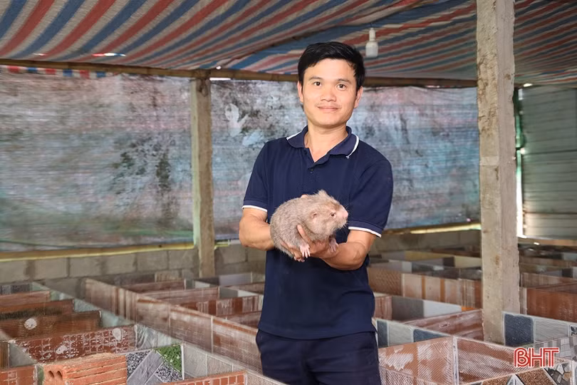 Thu nhập tốt nhờ nuôi kết hợp 3 loài đặc sản