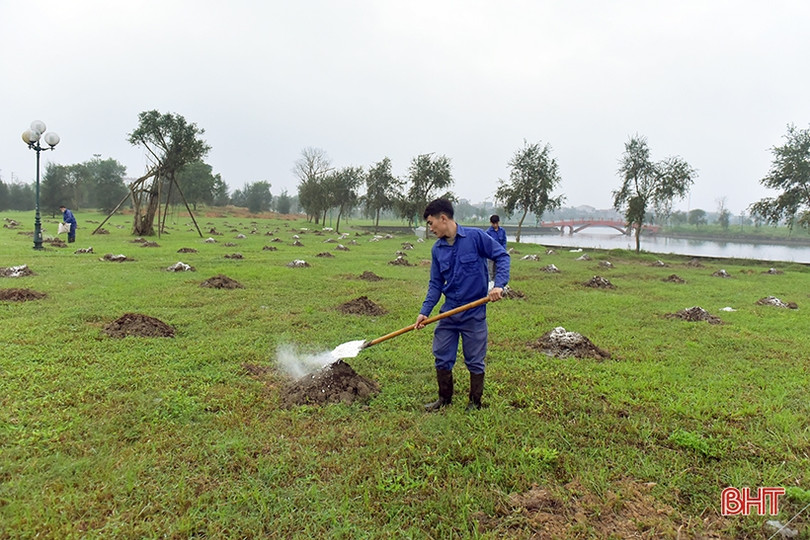 1 người dân Hà Tĩnh tặng 5.000 cây xanh xây dựng không gian đô thị