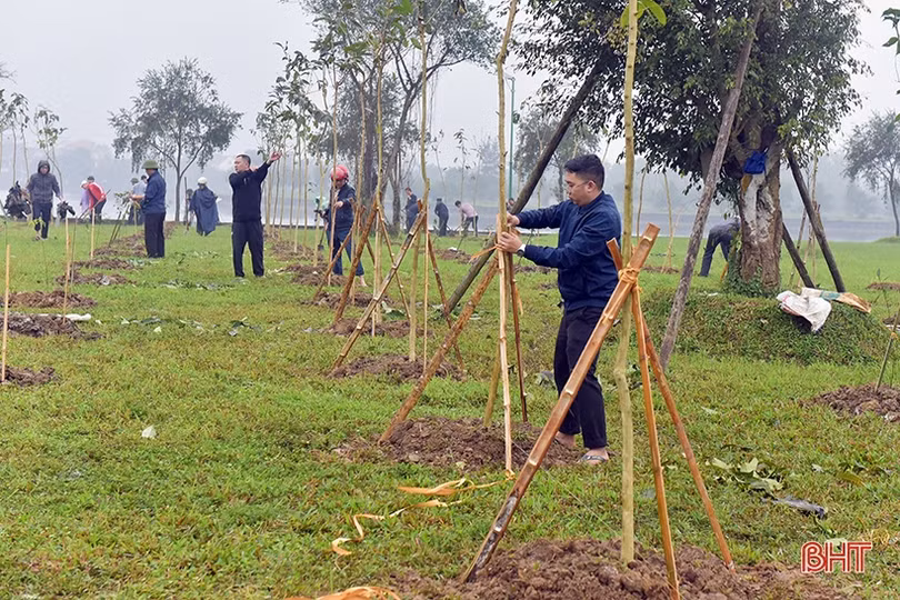 1 người dân Hà Tĩnh tặng 5.000 cây xanh xây dựng không gian đô thị