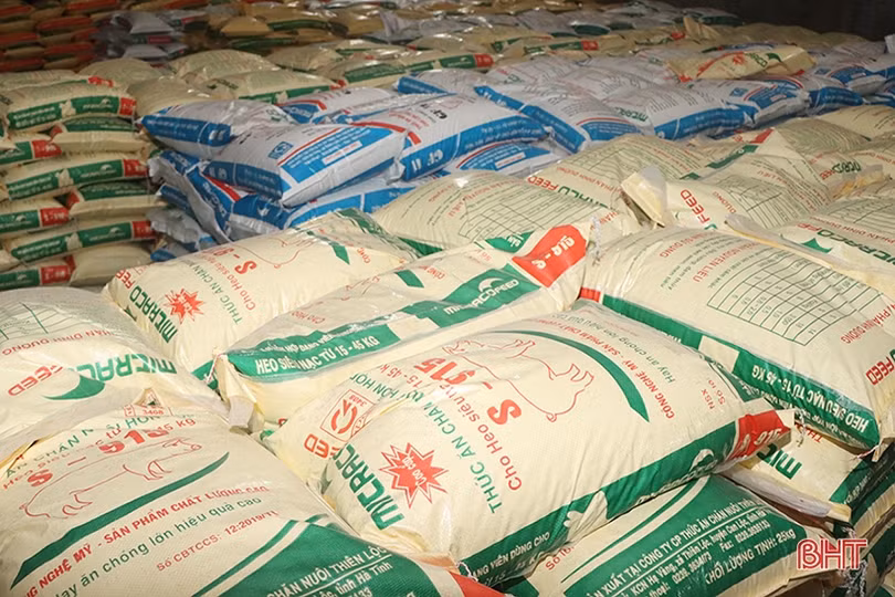 Giá thức ăn chăn nuôi “neo cao”, người dân, doanh nghiệp đều lỗ