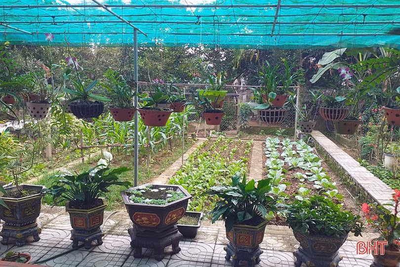 Phụ nữ Hương Sơn giúp nhau xây dựng nhà sạch, vườn đẹp, đường khang trang