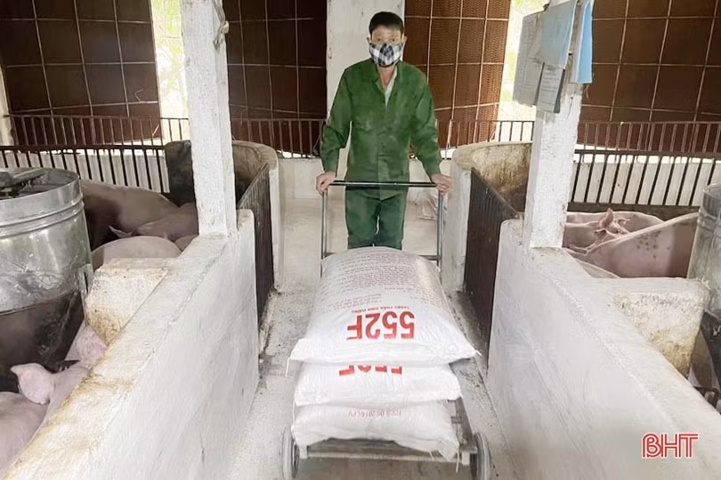 Nắm bắt cơ hội, cựu trưởng thôn ở Hà Tĩnh thu nhập tiền tỷ từ chăn nuôi