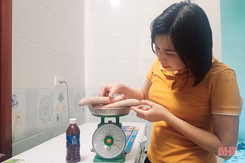 Thăm “thủ phủ” nhung hươu Hà Tĩnh