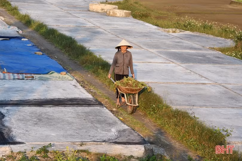 Làng nghề muối truyền thống Hà Tĩnh chuẩn bị cho vụ sản xuất mới