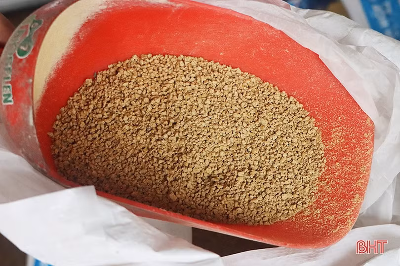 Giá thức ăn chăn nuôi “neo cao”, người dân, doanh nghiệp đều lỗ