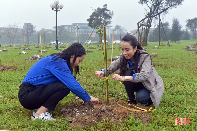 1 người dân Hà Tĩnh tặng 5.000 cây xanh xây dựng không gian đô thị