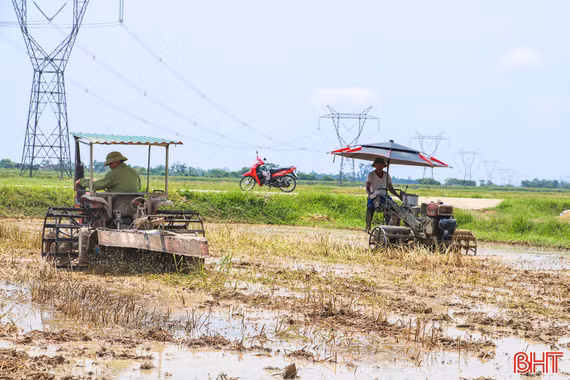 Nông dân Hà Tĩnh tất bật làm đất sản xuất vụ hè thu 