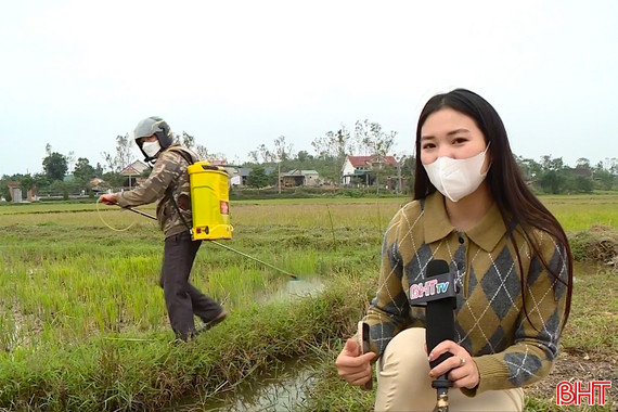 Thuốc cỏ cháy - đốt cháy hệ sinh thái đồng ruộng