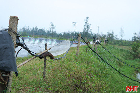 “Bẫy chết người” từ ma trận lưới điện tại hồ tôm!