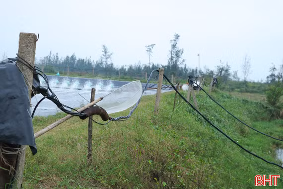 “Bẫy chết người” từ ma trận lưới điện tại hồ tôm!