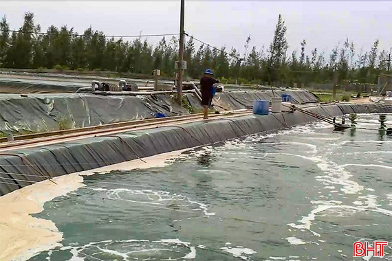 Ngành thủy sản Hà Tĩnh "hồi sinh" sau bão lớn