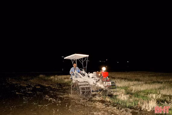 Nông dân cày đêm tránh nắng, đẩy nhanh tiến độ sản xuất hè thu