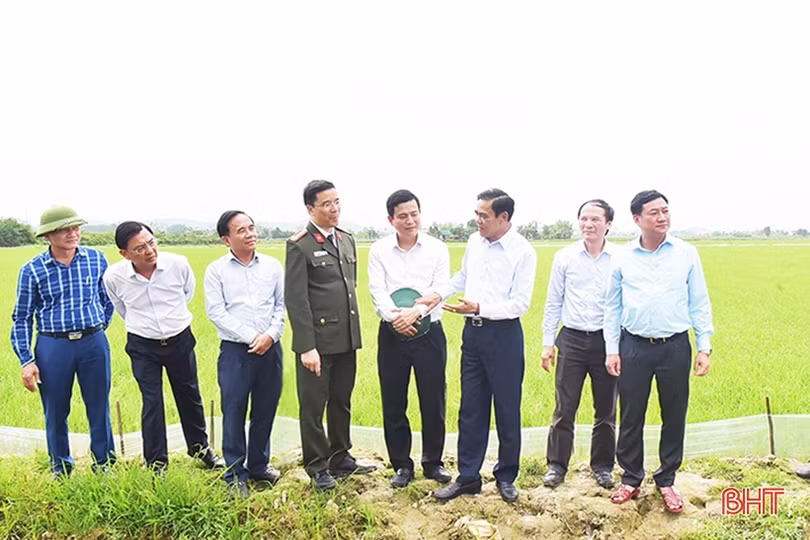 Sôi nổi khí thế xây dựng nông thôn mới, đô thị văn minh