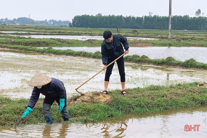 Nam sinh vượt khó, 3 năm liền đạt học sinh giỏi tỉnh Hà Tĩnh
