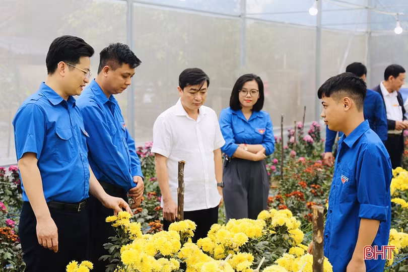 Tuổi trẻ Hà Tĩnh đồng loạt ra quân hưởng ứng Tháng Thanh niên 2024