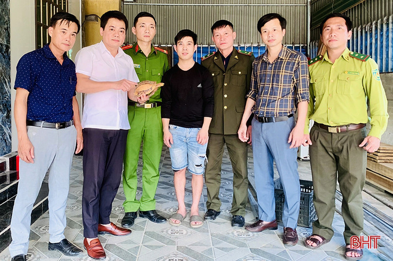 Phát hiện 6 con rùa quý hiếm khi làm đất, người đàn ông trình báo ngành chức năng