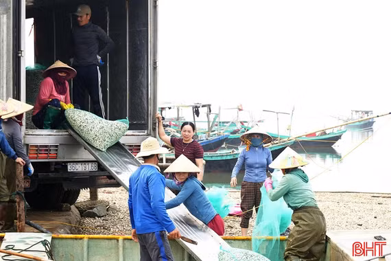 Mở hướng phát triển mới cho nuôi trồng thủy sản Cửa Sót