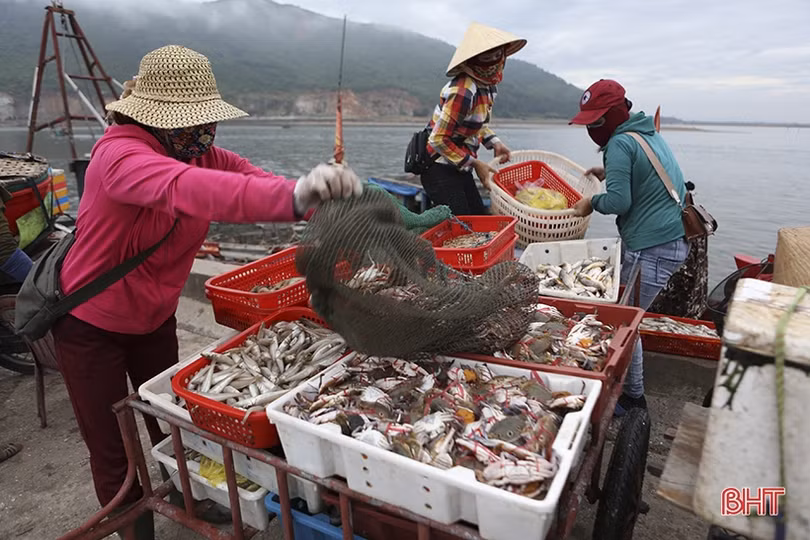 Biển Hà Tĩnh gọi mời du khách