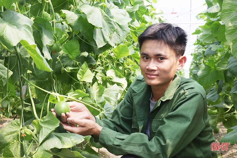 Thăm mô hình nhà màng trồng dưa quy mô gần 2 tỷ đồng của nông dân Thạch Lạc