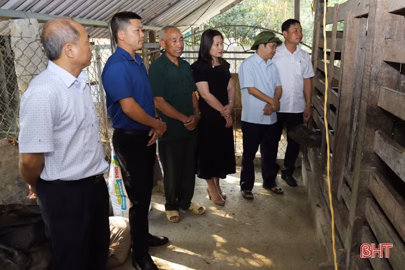 Hương Sơn xem xét nhân rộng hươu giống chất lượng cao