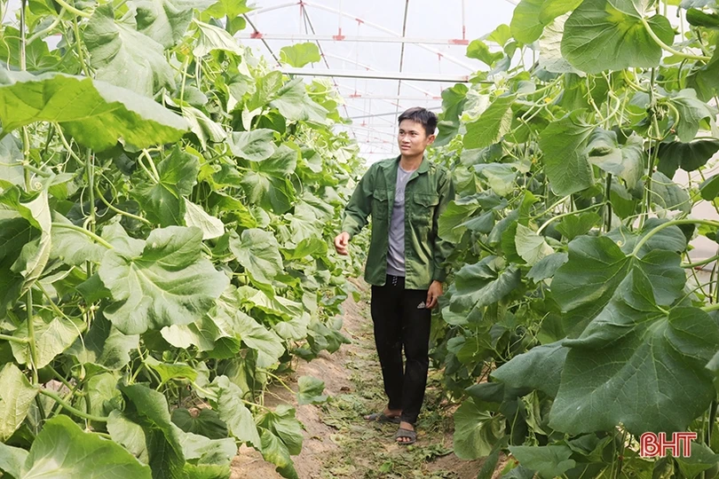 Thăm mô hình nhà màng trồng dưa quy mô gần 2 tỷ đồng của nông dân Thạch Lạc