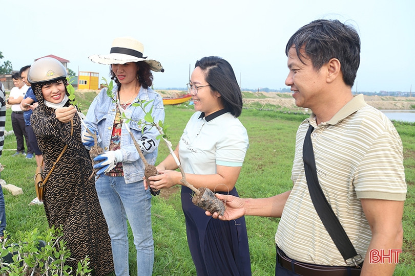 TP Hà Tĩnh trồng thử nghiệm 320 gốc táo muối Bàng La