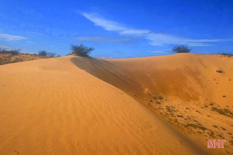 Nỗi nhớ biển khôn nguôi