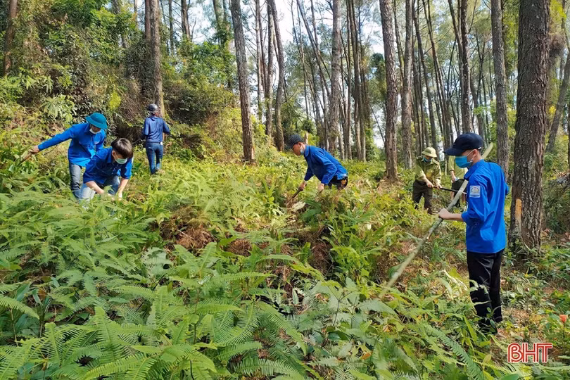 Vũ Quang lo phòng cháy rừng ngay từ đầu mùa nắng