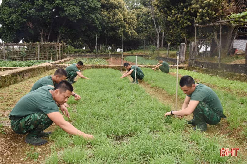 Lính biên phòng Hà Tĩnh tăng gia hiệu quả