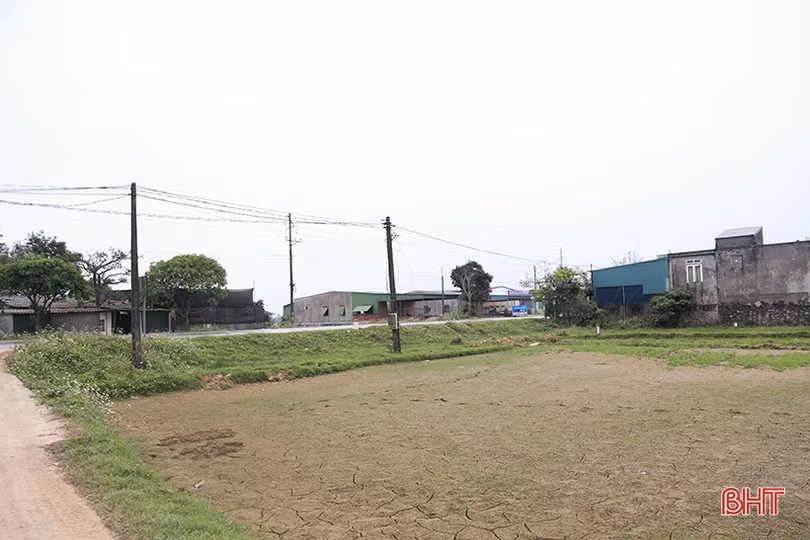 Hà Tĩnh gấp rút di dời hạ tầng đường điện phục vụ thi công cao tốc Bắc - Nam