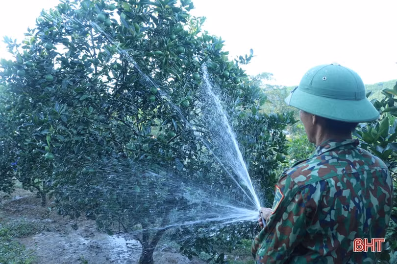 Xã biên giới Hà Tĩnh có 160 mô hình kinh tế thu nhập trên 100 triệu đồng