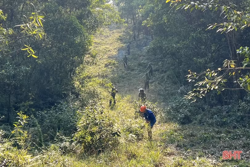 Hương Sơn chủ động phòng cháy, chữa cháy rừng