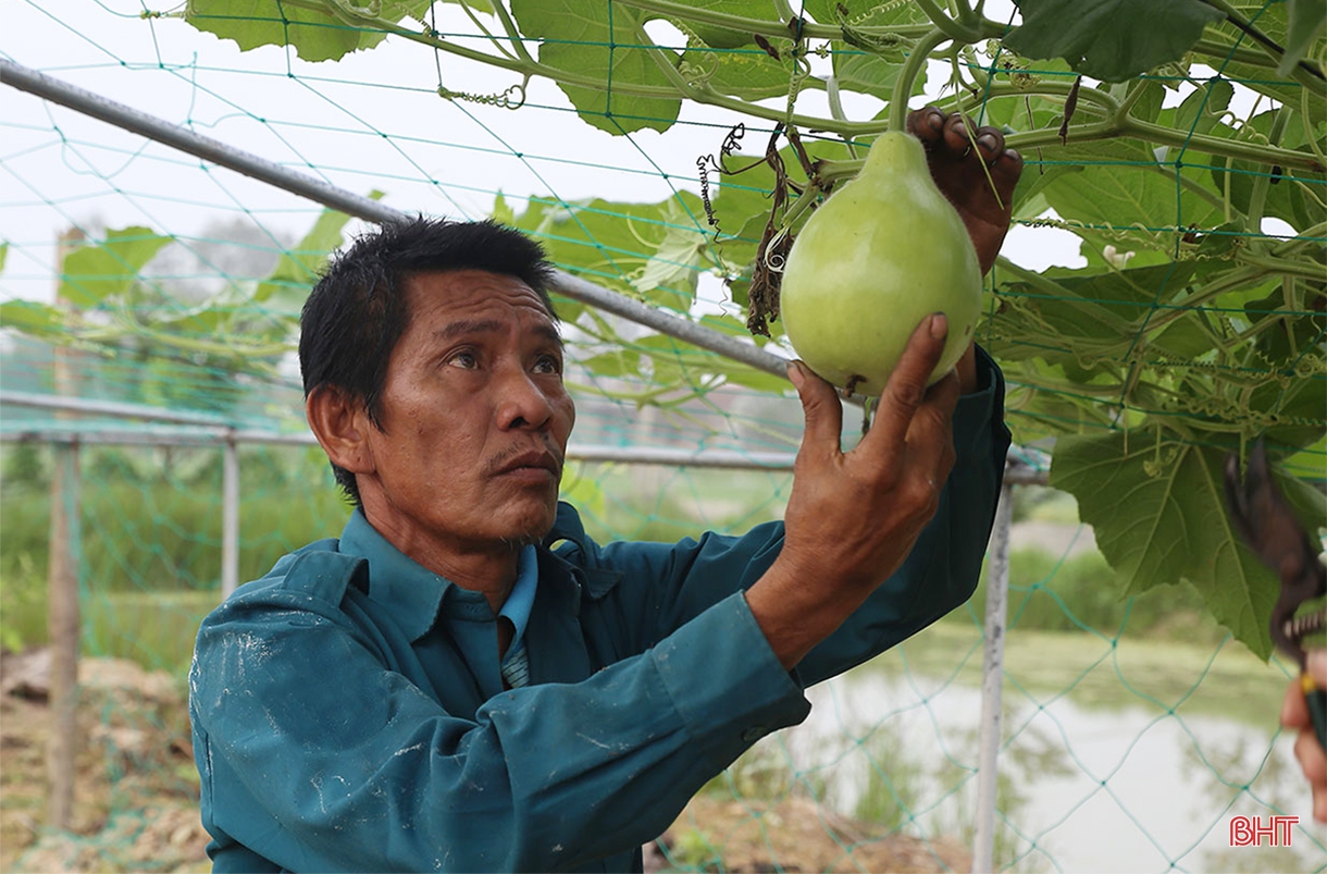Tích tụ ruộng đất - từ chuyện những người “mê ruộng” và khát vọng nền nông nghiệp hiện đại (bài 1): Dốc vốn tích tụ 5 ha đất, ông nông dân “gàn” xây mô hình 4 tầng nấc
