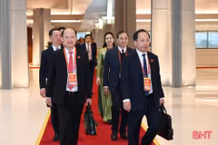 Đoàn đại biểu tỉnh Hà Tĩnh dự đại hội.