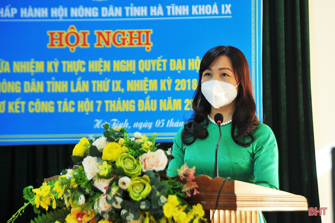 Vận động nông dân Hà Tĩnh thực hiện hiệu quả Nghị quyết xây dựng tỉnh nông thôn mới