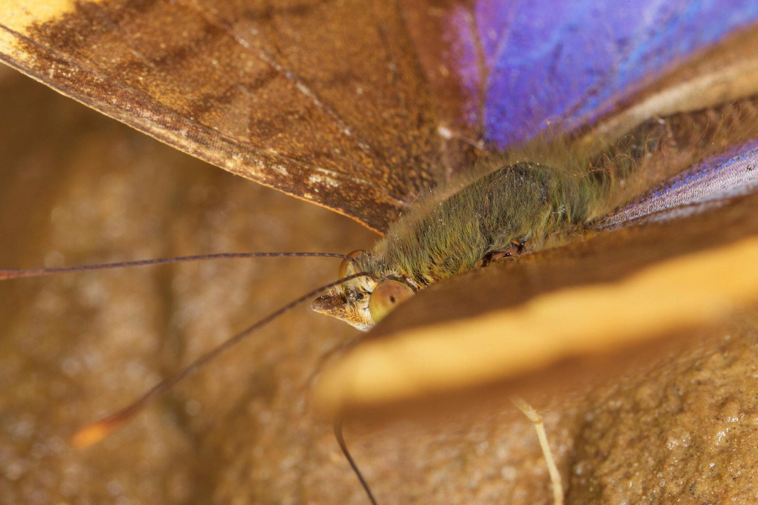 Đột nhập vườn quốc gia đa dạng sinh học nhất Trái đất