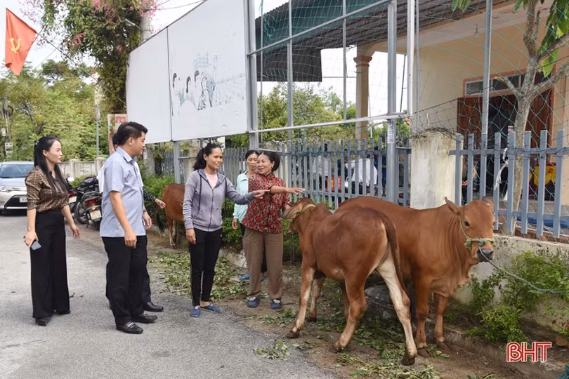 Tạo giải pháp đồng bộ giúp phụ nữ Lộc Hà thoát nghèo bền vững