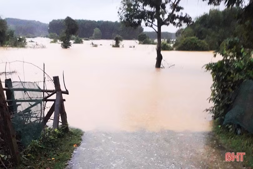 Cập nhật tình hình thiệt hại do mưa lũ ở Hà Tĩnh