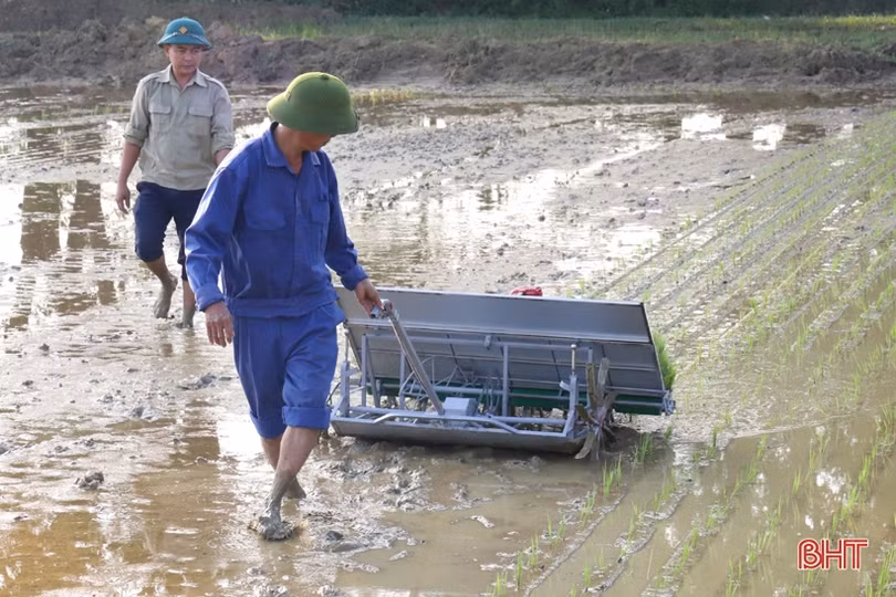 Xã đầu tiên ở Hương Sơn thực nghiệm máy cấy lúa có động cơ