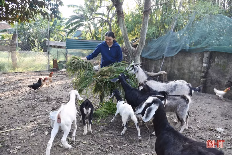 Tạo giải pháp đồng bộ giúp phụ nữ Lộc Hà thoát nghèo bền vững