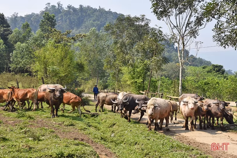 Điểm tựa của đồng bào dân tộc thiểu số ở vùng biên Hà Tĩnh